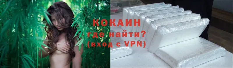 Cocaine Эквадор  магазин    Жиздра 